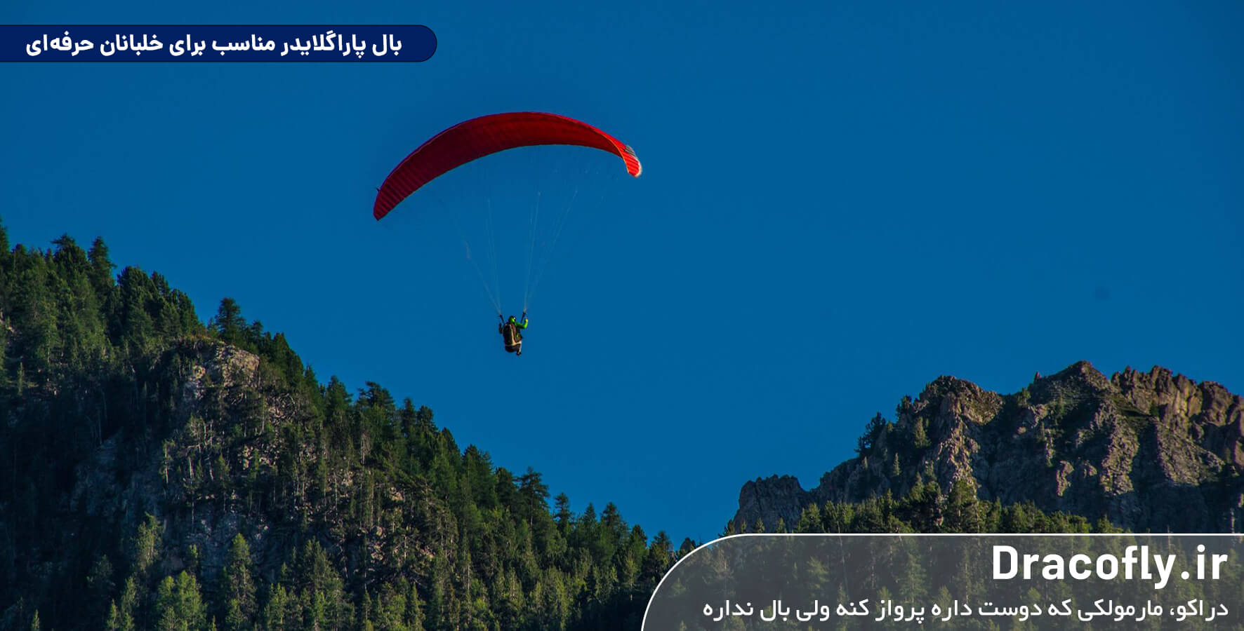 بال-پاراگلایدر-مناسب-برای-خلبانان-حرفه‌ای