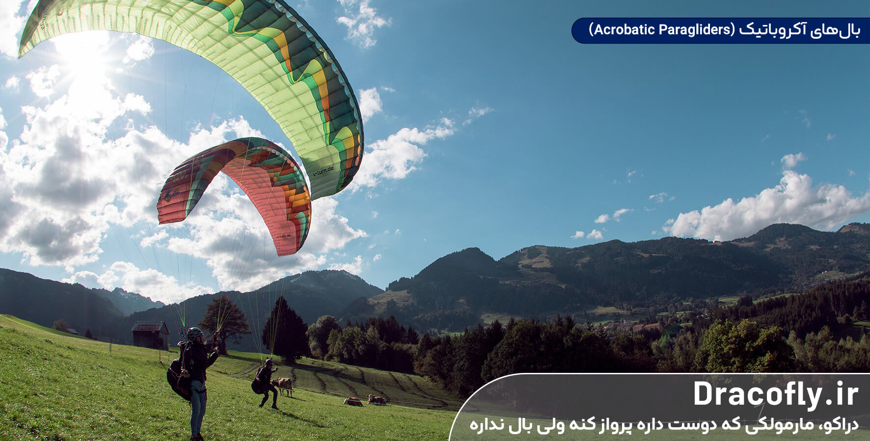 بال‌های-آکروباتیک-(Acrobatic-Paragliders)