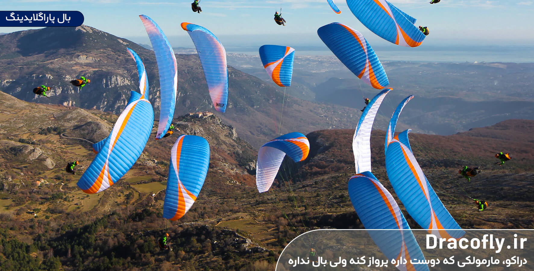 تجهیزات-پاراگلایدینگ-بال-پاراگلایدینگ