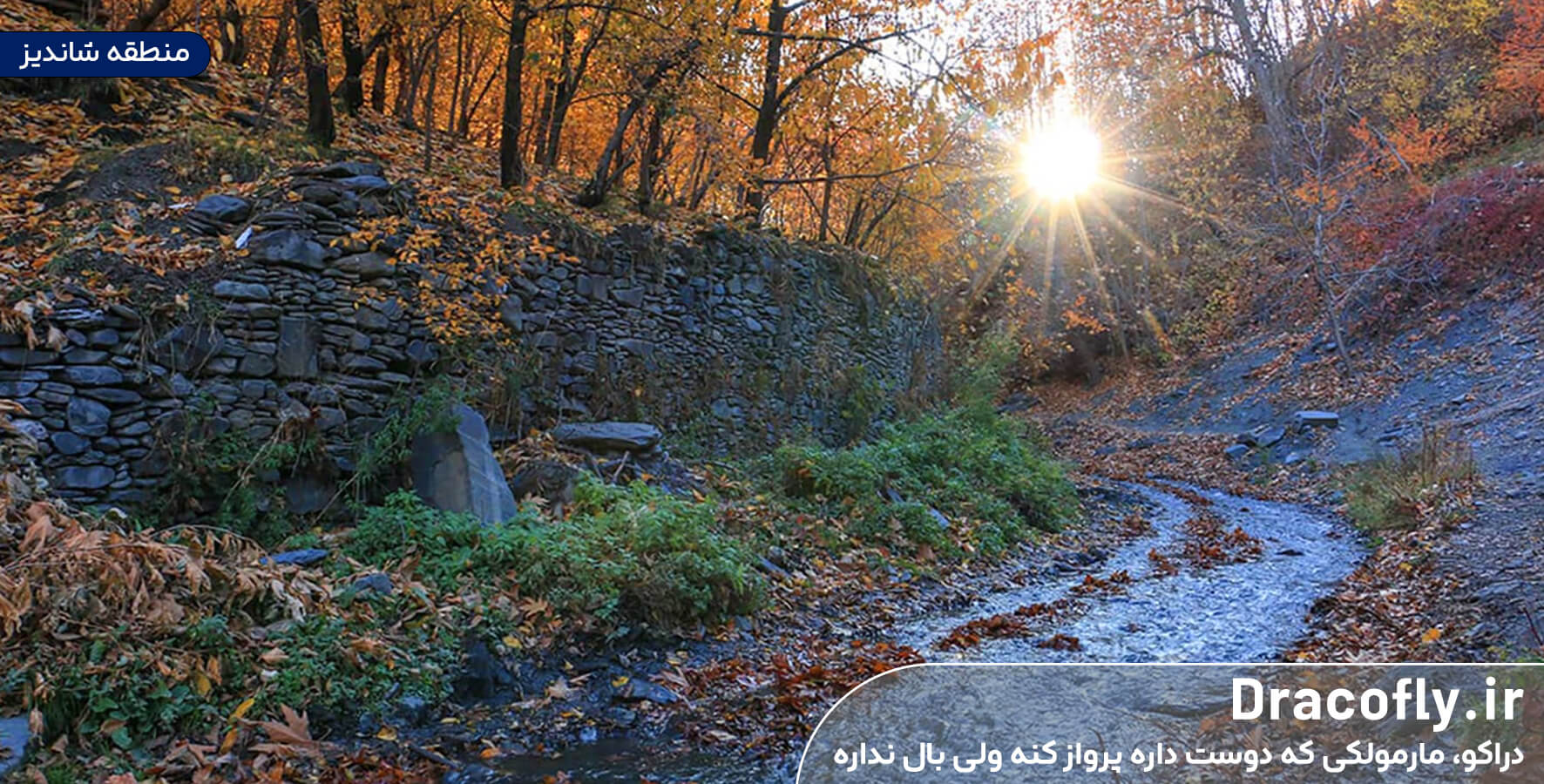 منطقه-شاندیز