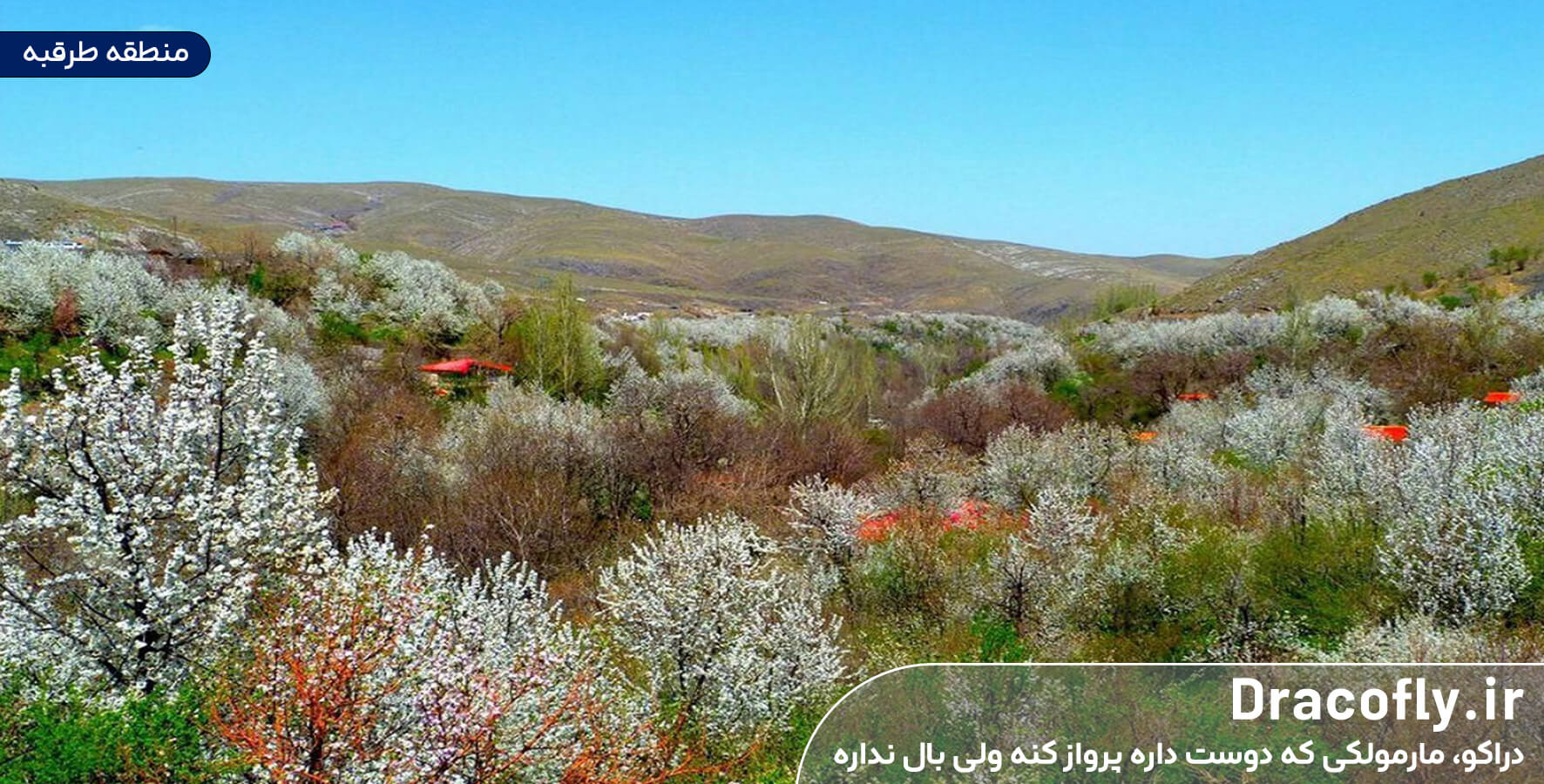 منطقه-طرقبه