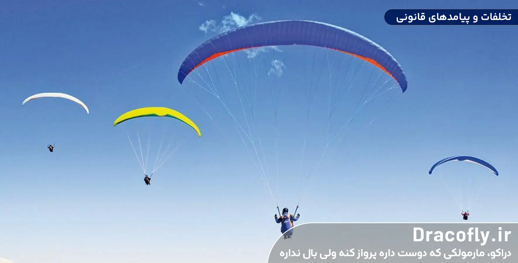 تخلفات-و-پیامدهای-قانونی