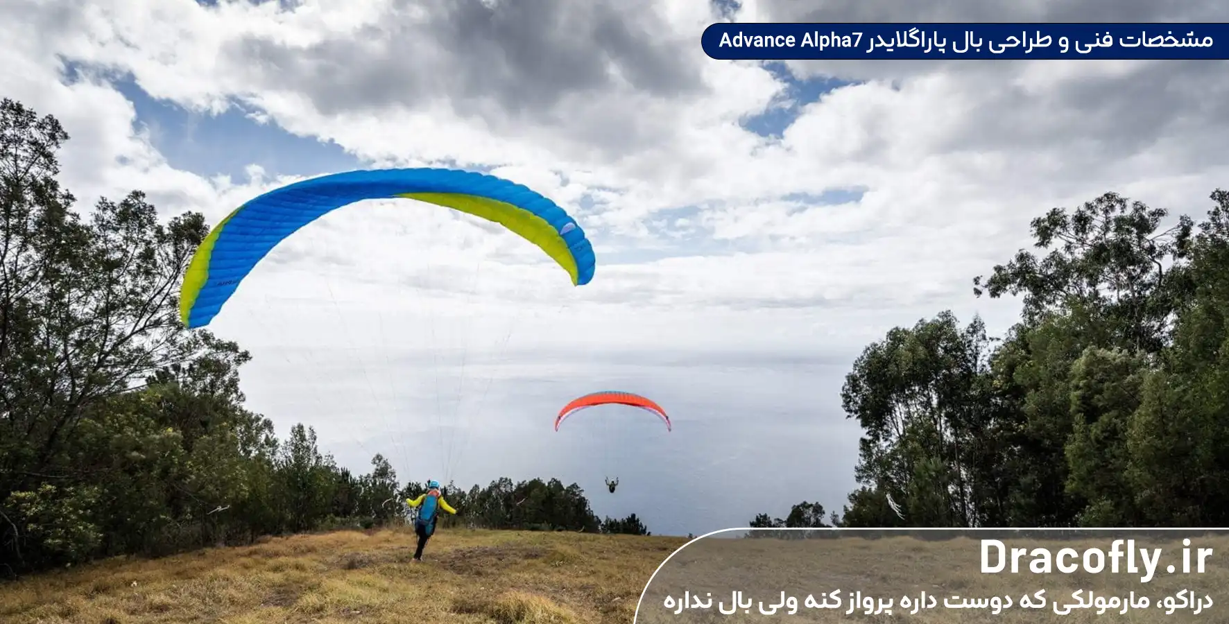 مشخصات-فنی-و-طراحی-بال-پاراگلایدر-Advance-Alpha7