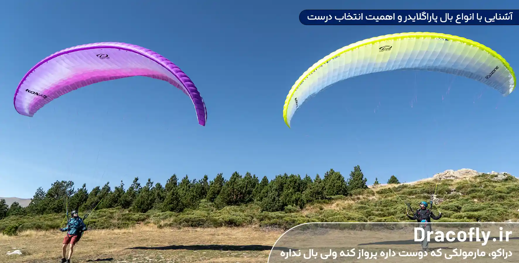 مقدمه--آشنایی-با-انواع-بال-پاراگلایدر-و-اهمیت-انتخاب-درست