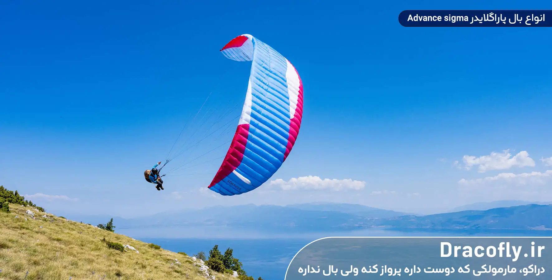 انواع-بال-پاراگلایدر-Advance-sigma