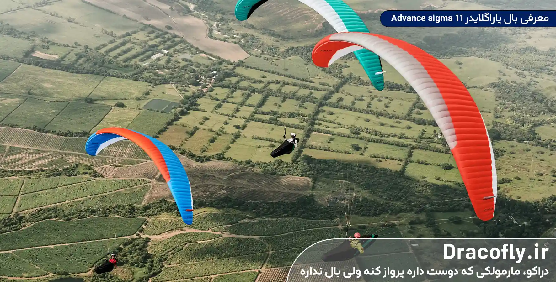 معرفی-بال-پاراگلایدر-Advance-sigma-11-