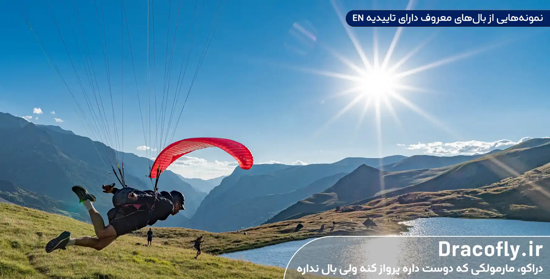 نمونه_هایی-از-بال_های-معروف-دارای-تاییدیه-EN