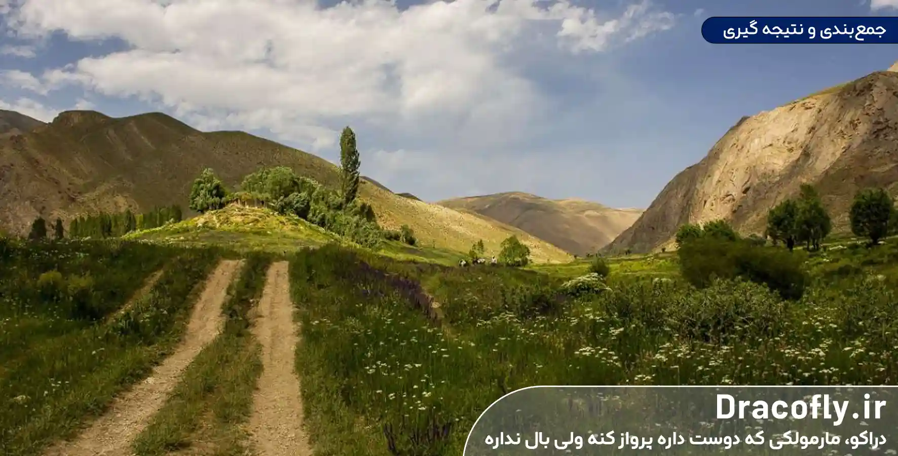 جمع_بندی-و-نتیجه-گیری
