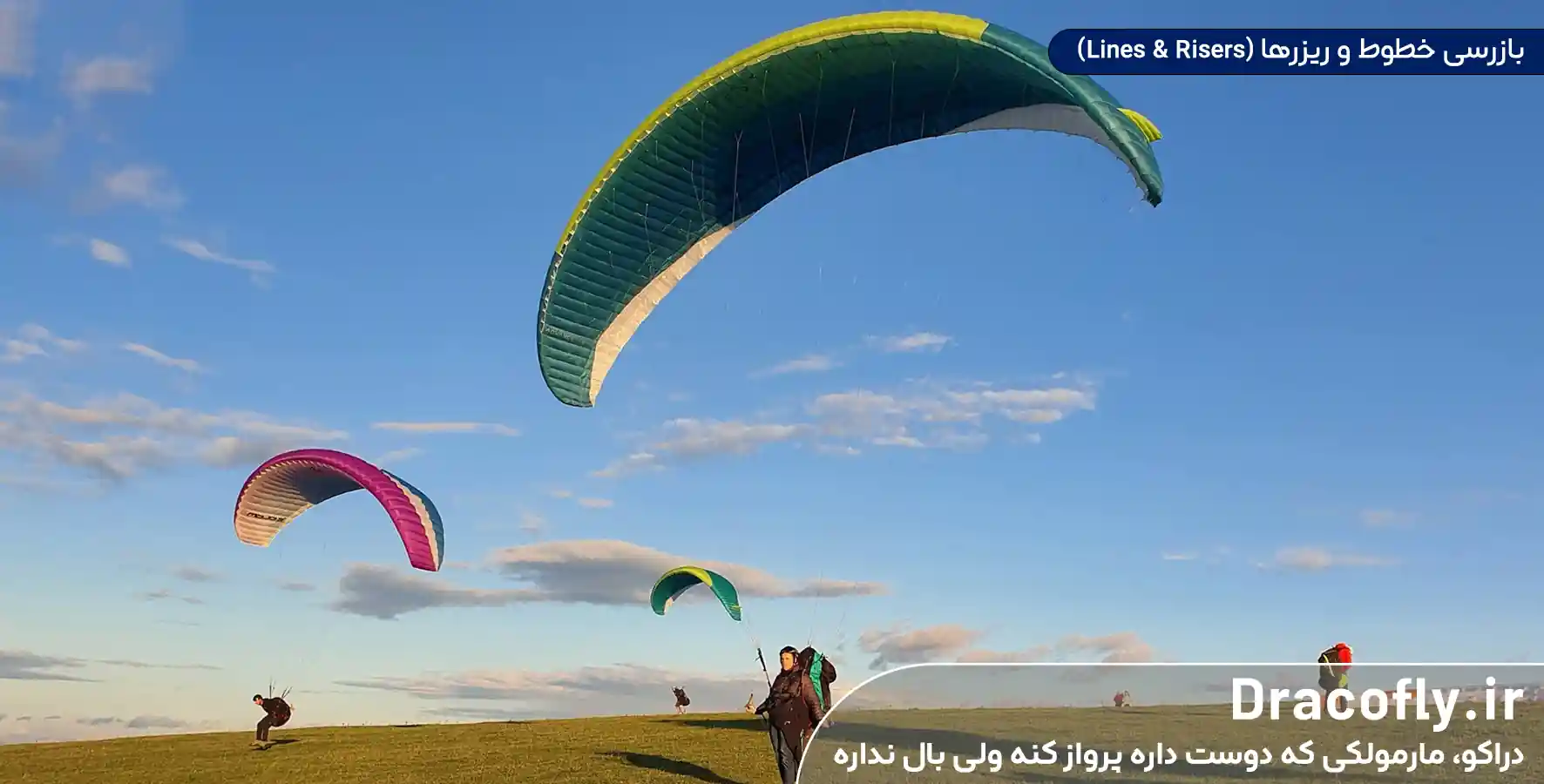 بازرسی-خطوط-و-ریزرها-(Lines-&-Risers)