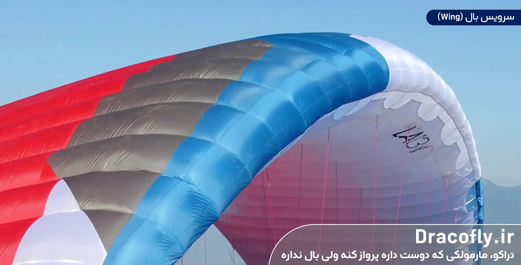 سرویس-بال-(Wing)