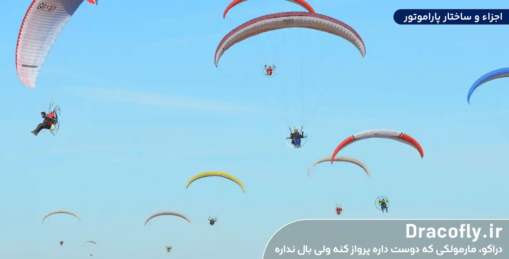 اجزاء-و-ساختار-پاراموتور