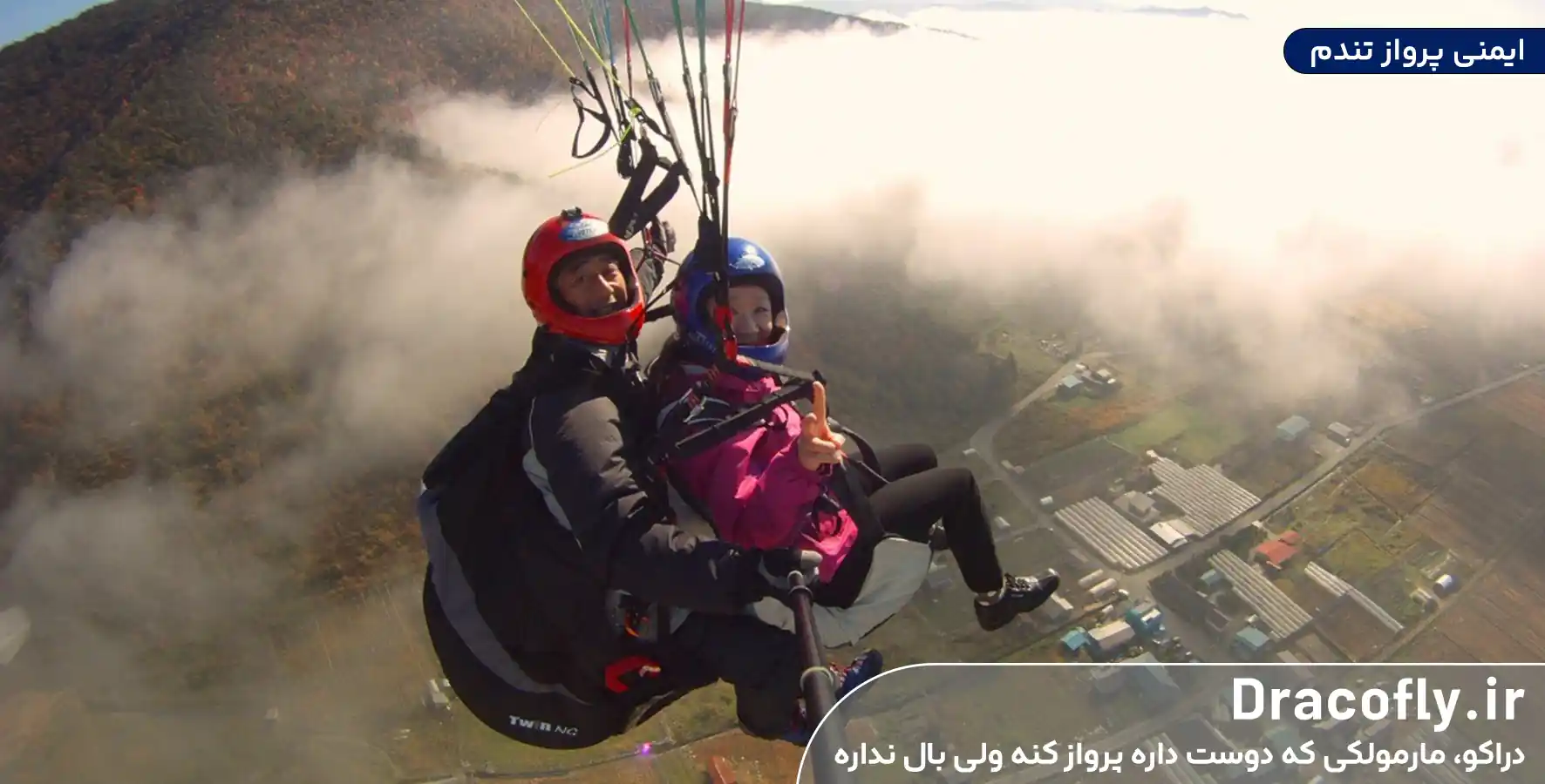 ایمنی-پرواز-تندم